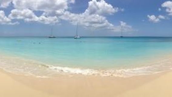 Paynes Bay Beach