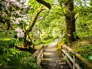 Ardkinglas Woodland Garden
