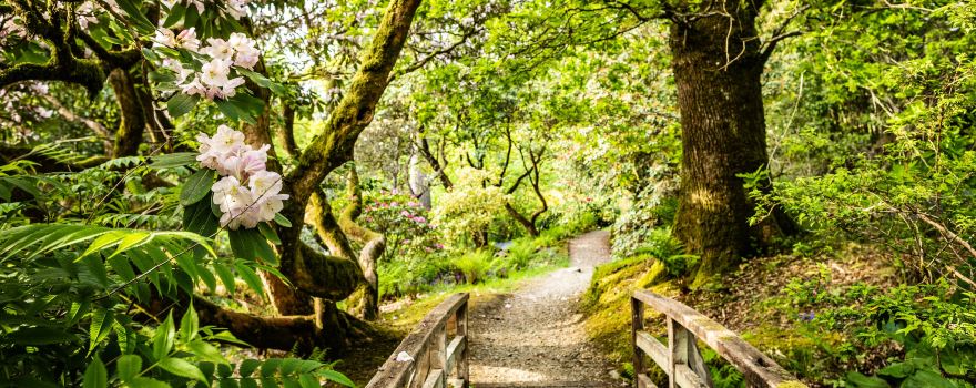 Ardkinglas Woodland Garden
