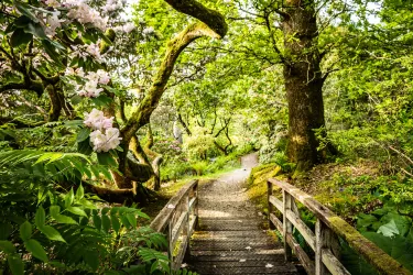 Ardkinglas Woodland Garden