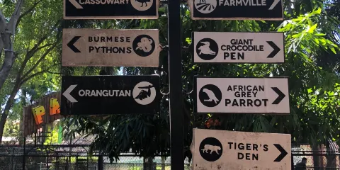 達沃鱷魚公園