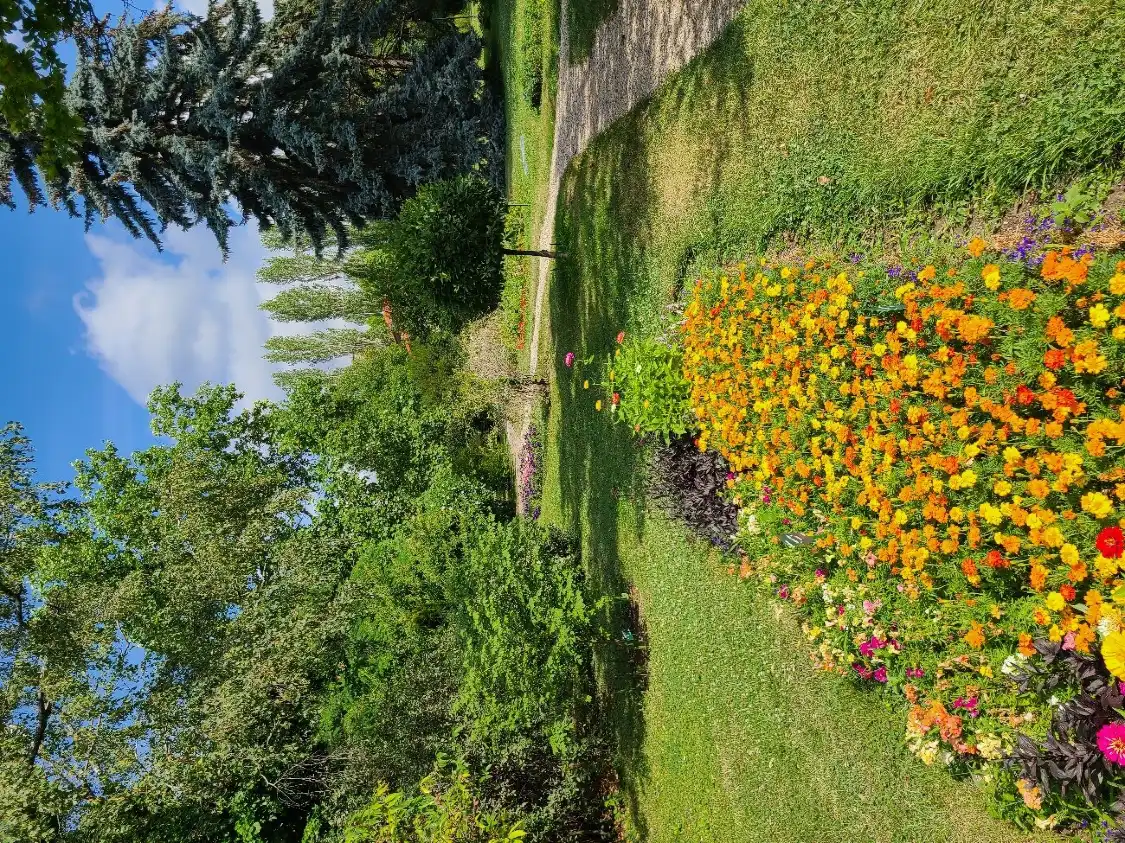 鄰近The Botanical Garden (Gradina Botanica)的酒店
