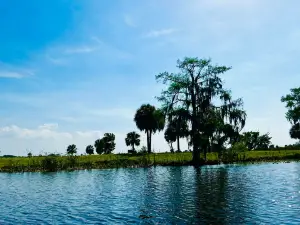 Eagle Bay Airboat Rides