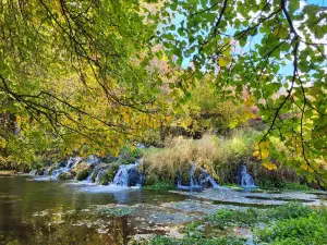 Cascade Springs