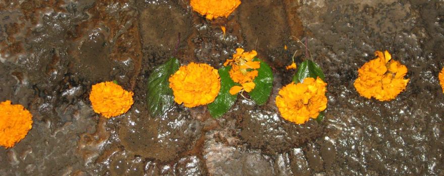 Tiakati
