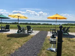 Boundary Breaks Vineyard