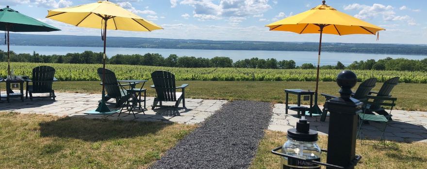 Boundary Breaks Vineyard