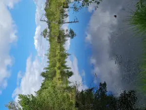Pietzmoor - Wanderweg