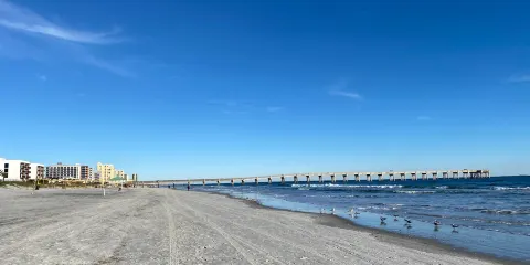 Jupiter Dog Beach