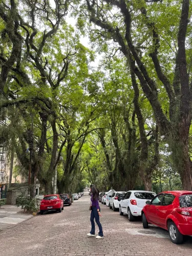 Rua Goncalo de Carvalho