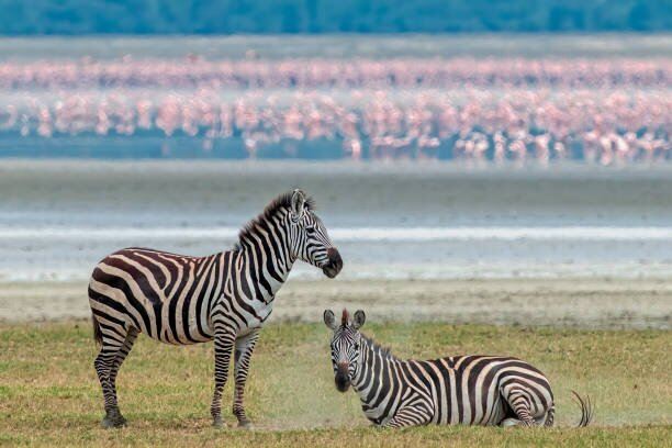 Lake Magadi
