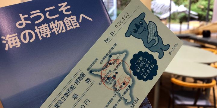 Coastal Branch of Natural History Museum and Institute, Chiba