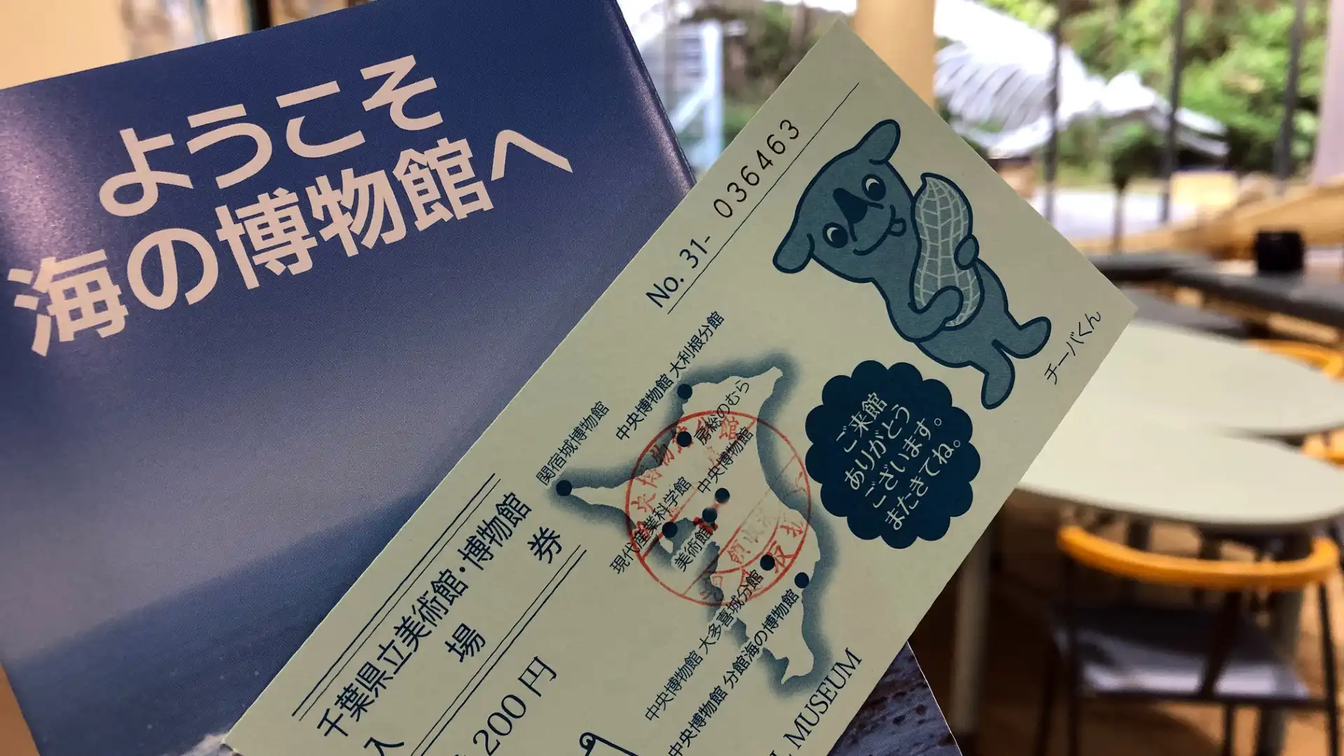 Hotels near Coastal Branch of Natural History Museum and Institute, Chiba