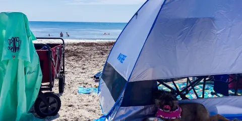 Canova Beach Dog Park