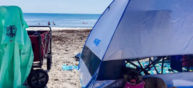 墨爾本海灘酒店