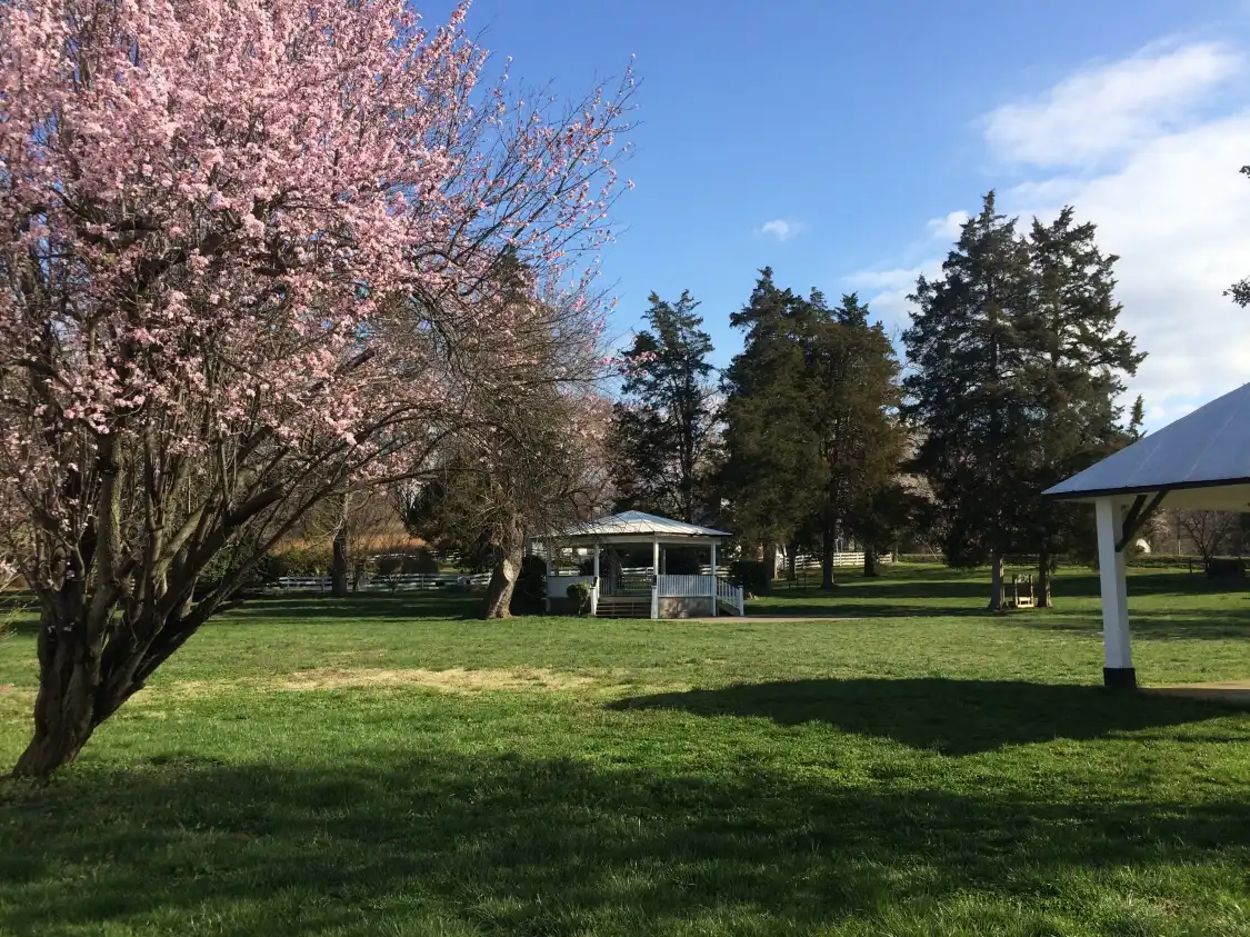 Hotels near The Weems-Botts Museum & Annex