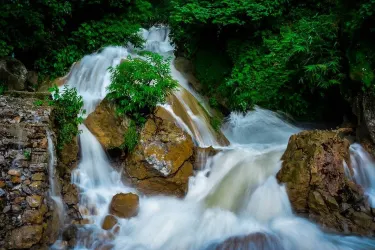 Tehri Garhwalin piirikunta