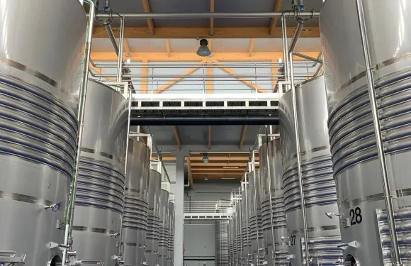 阿雷拉挪威納埃布羅