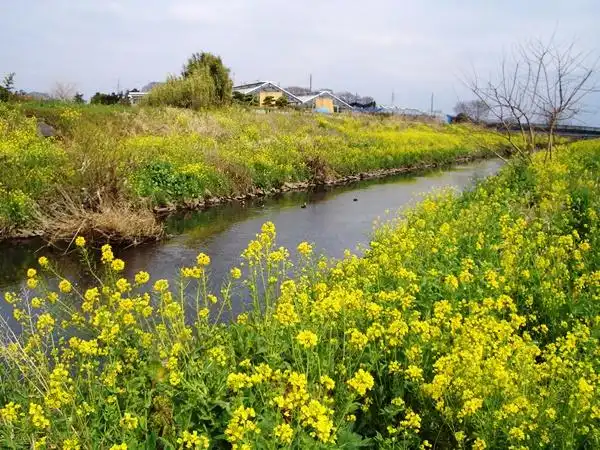 Hotels in Ayase