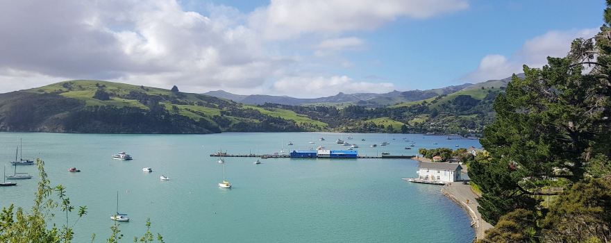 가든 오브 테인