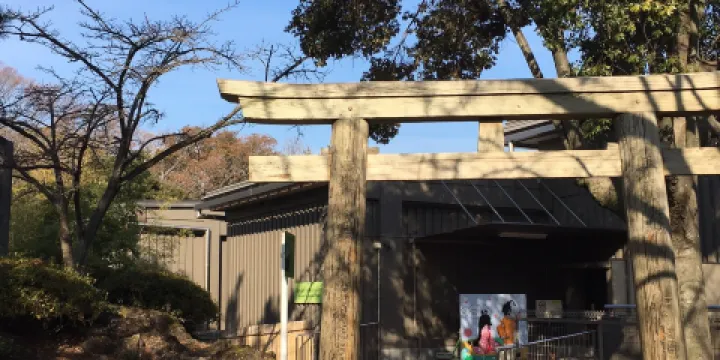 Mt.Fuji and Princess Kaguya museum