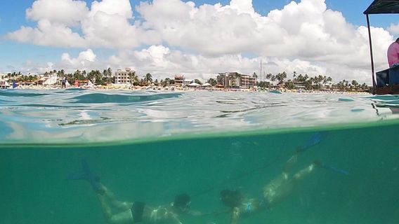 Mergulhos Aquamarina