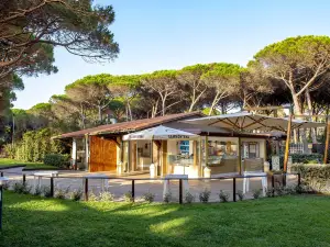 Restaurant Self-Service House Civinini