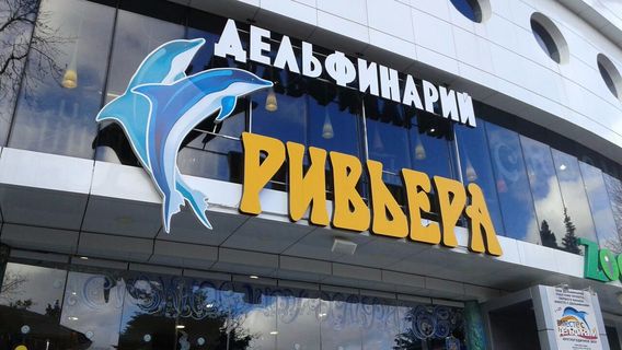 Bol'shoy Sochinskiy Del'finariy