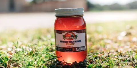 Tom West Blueberries