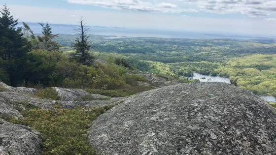 Bald Mountain Preserve