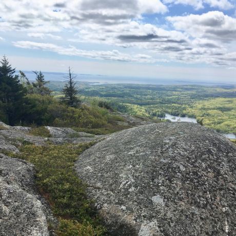 Bald Mountain Preserve