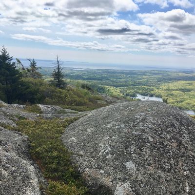Bald Mountain Preserve