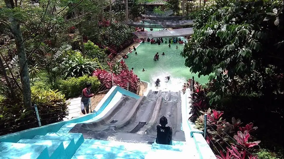 Jungle Water World