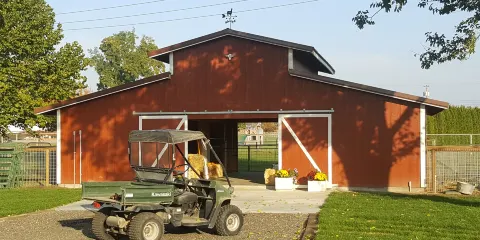 Sandollar Farms & Alpacas