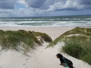 Houstrup Strand
