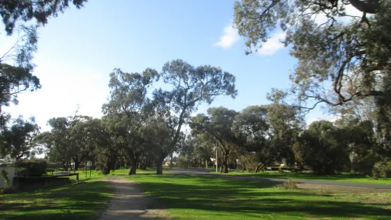 Wotonga Basin