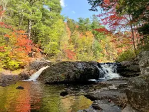 McMaster Mill Historic Park
