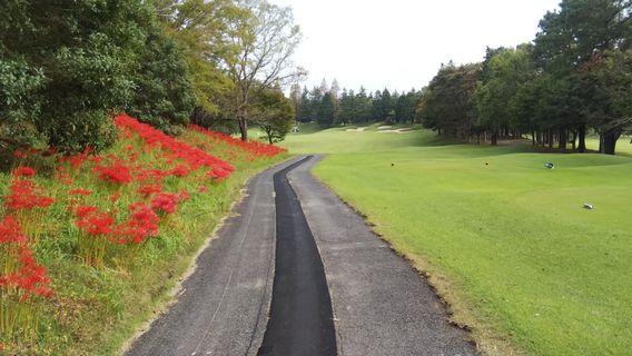 Tomisato Golf Club