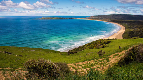 Waiwhakaheke Seabird Lookout