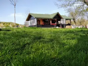 Atatürk Parkı