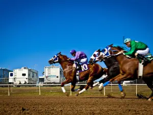 Tulsa NE / Will Rogers Downs KOA Journey