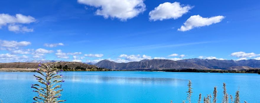 Lake Pukaki Viewpoint