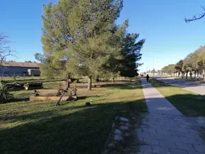 Paseo de los Carros