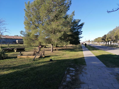 Paseo de los Carros