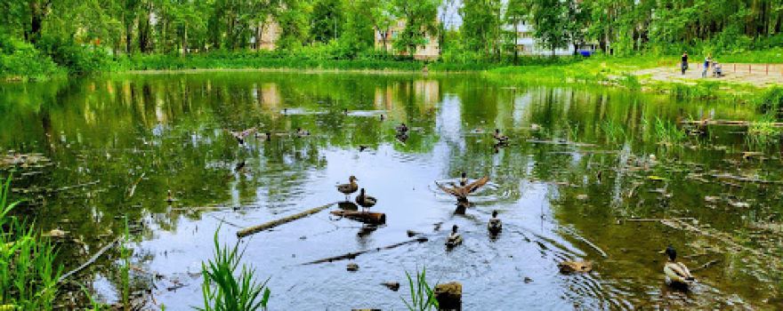 Park Imeni 40-Letiya Vlksm