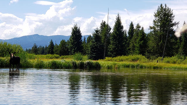 Mill Creek Campground