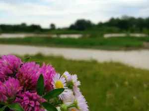 Старопавловское