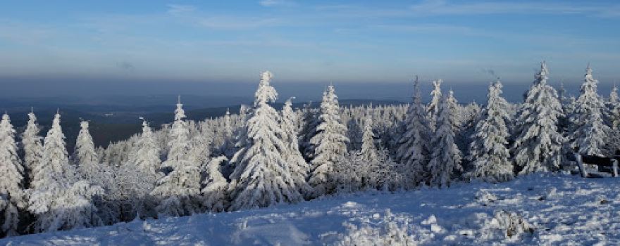 Schneekopfmoor am Teufelskreis