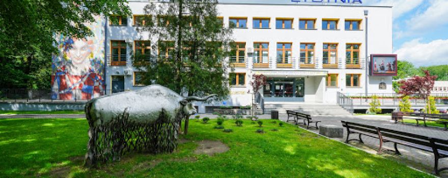 Powiatowe Centrum Kultury i Sztuki im. Marii Konopnickiej