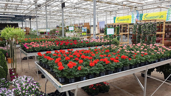 Garden Center Van der Wurff
